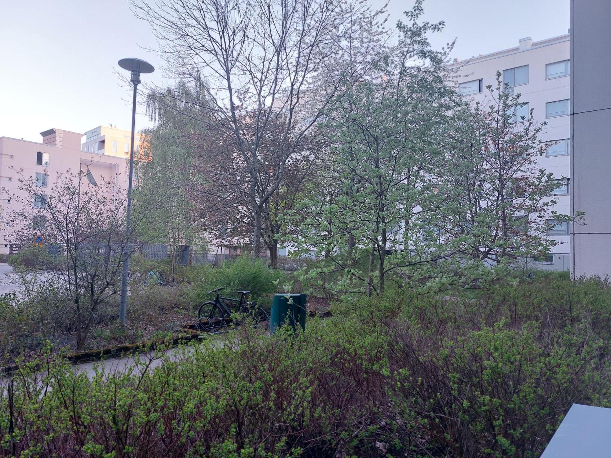 Saunallinen Kolmio Jaetkaesaaressa * Helsinki